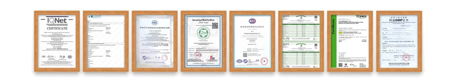 vitamin B6 Supplier vitamin B6 Supplier